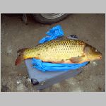 Purkarec  27.10.2008  7-39-65.JPG